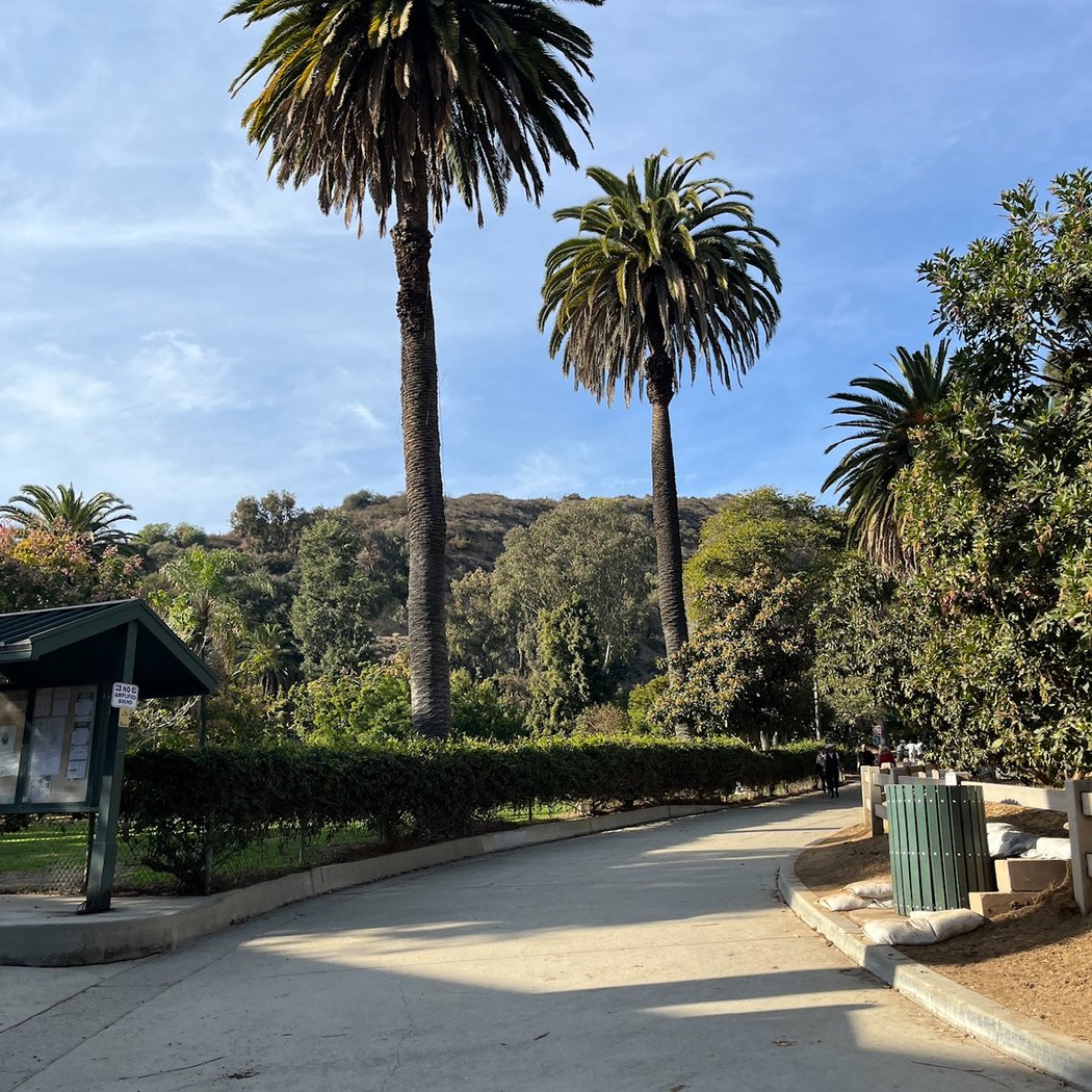 Runyon Canyon Park 5